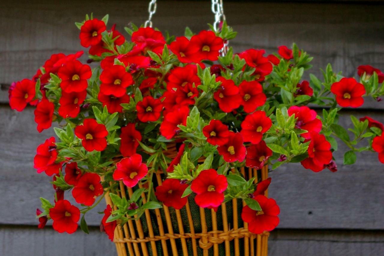 Le Colombier Bretagne Bed & Breakfast Louannec Dış mekan fotoğraf